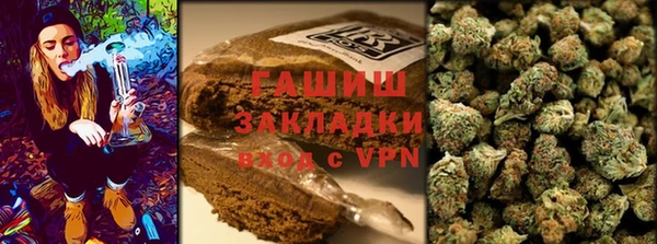 PSILOCYBIN Богданович