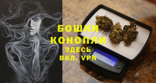 PSILOCYBIN Богданович